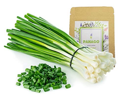 1300+ Long Green Scallion Seeds for Planting, Non-GMO Organic Heirloom Scallion Seeds