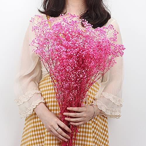 Natural Dry Flower Gypsophila Fresh Dried Preserved Flowers Gypsophila Paniculata Breath Flower Bouquets For Wedding Party Home Dekoration (white,30-40cm30g)