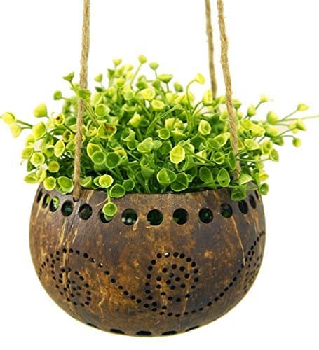 Set of 2 Pieces Garden Decorative Coconut Shell Hanging Flower Plant Pot Diameter 4".