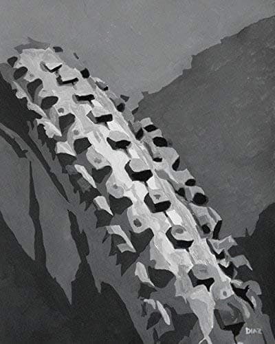Treading the Trail - Mountain Bike Art 8x10 Print