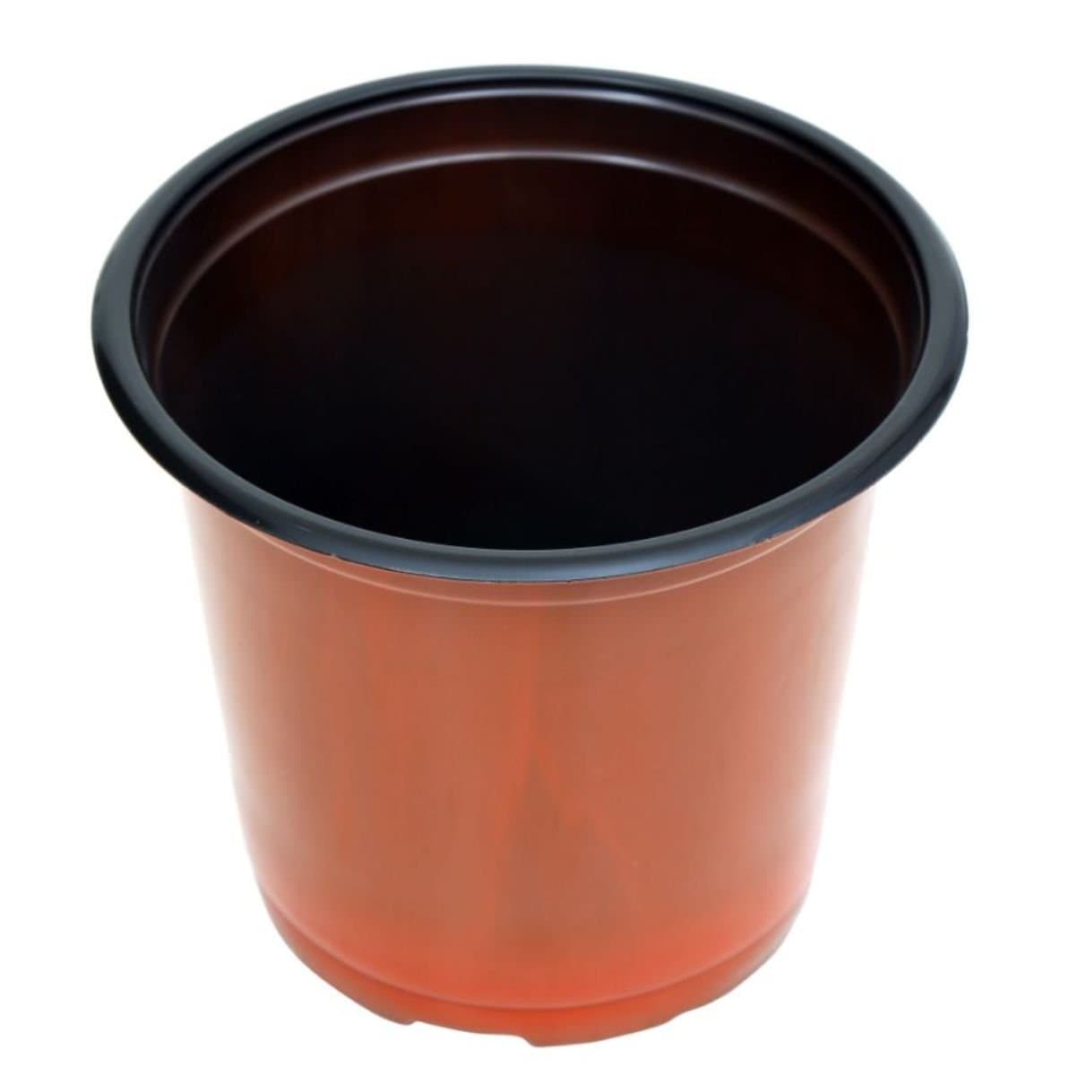 A SARO Polypropylene Gardening TF Flower Pots (Brown, 5'' Inch) - 100 Pieces
