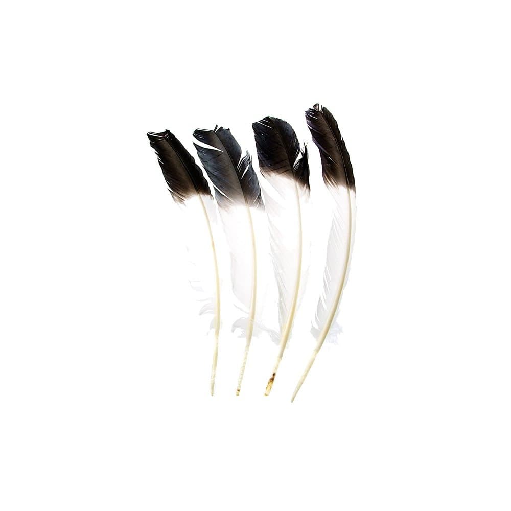 Native American Indian Eagle Black-Tipped Imitation Feather 10"-12" - Sold Individually