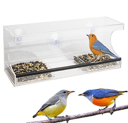 Outdoor Trading Window Bird Feeder with Removable Water Tray
