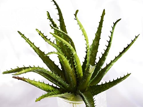 Artificial Aloe Vera Plant 7"