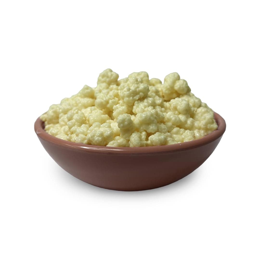 Feelgood Kefir™ - LIVE BIG SIZED Milk Kefir Grains (20 grams) | Contains 55-60 Strains of Live Active Cultures* | With Large Strainer, Spoon & 1 Milk Kefir Starter culture powder sachet | Lifetime