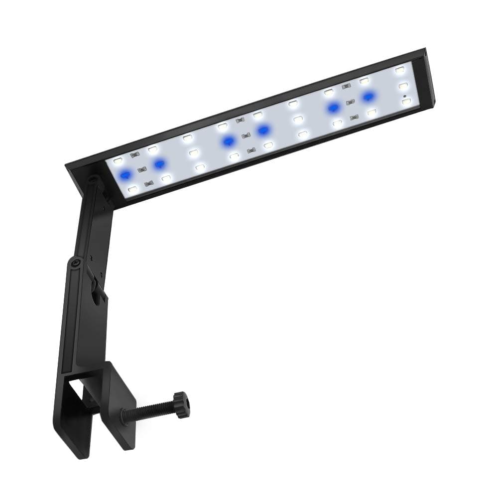 WOTERZI LED Aquarium Light Clip on Fish Tank Light with Adjustable Bracket, White and Blue LEDs