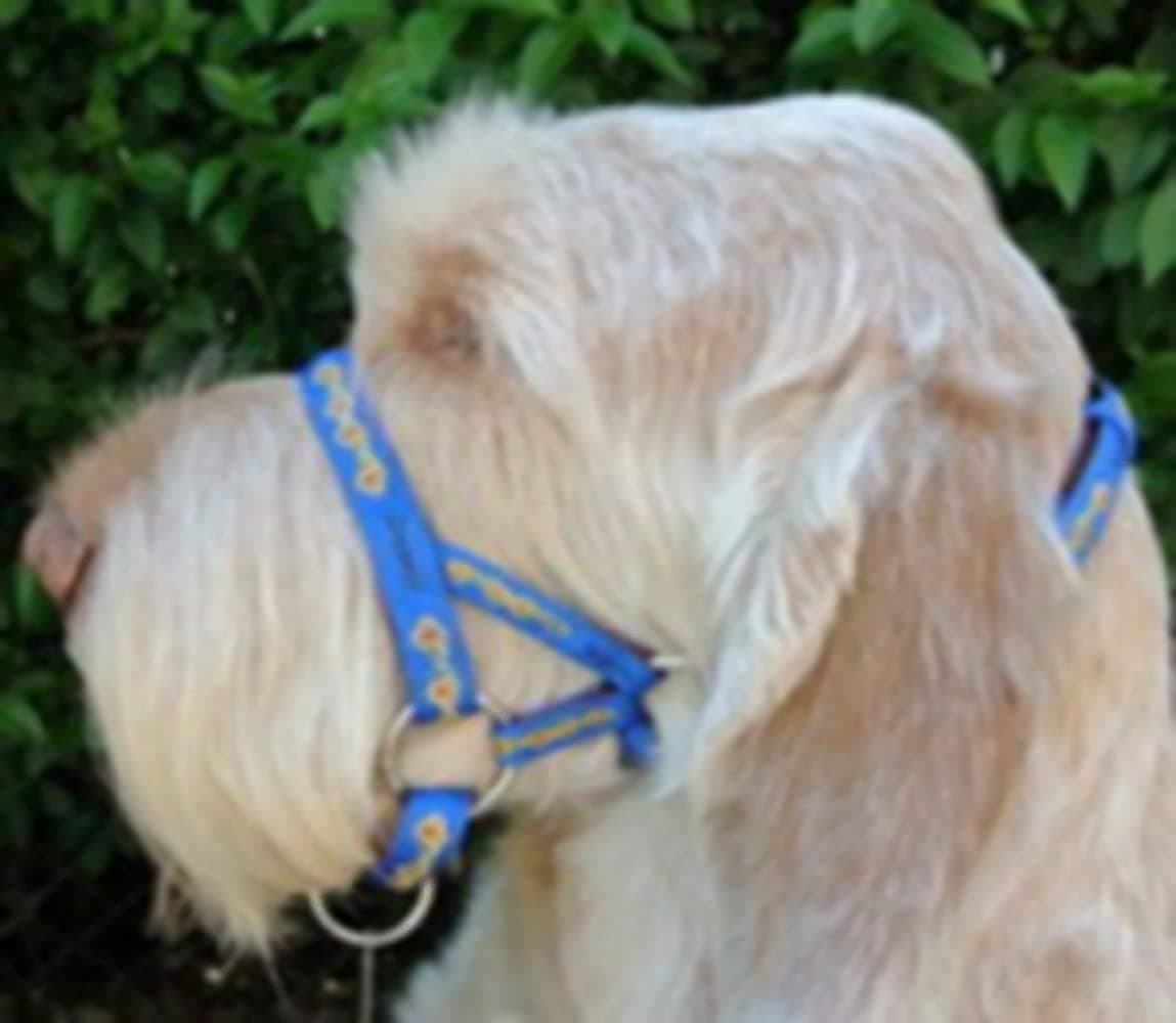 DOGMATIC HEADCOLLAR PADDED CUSHIONED WEBBING PCW - BLUE - SIZE 4