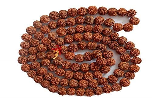 Best Quality Hand Picked 5 Mukhi Rudraksha Jap Mala (108 + 1 Beads) for Hindu Prayer, Meditation and Chanting