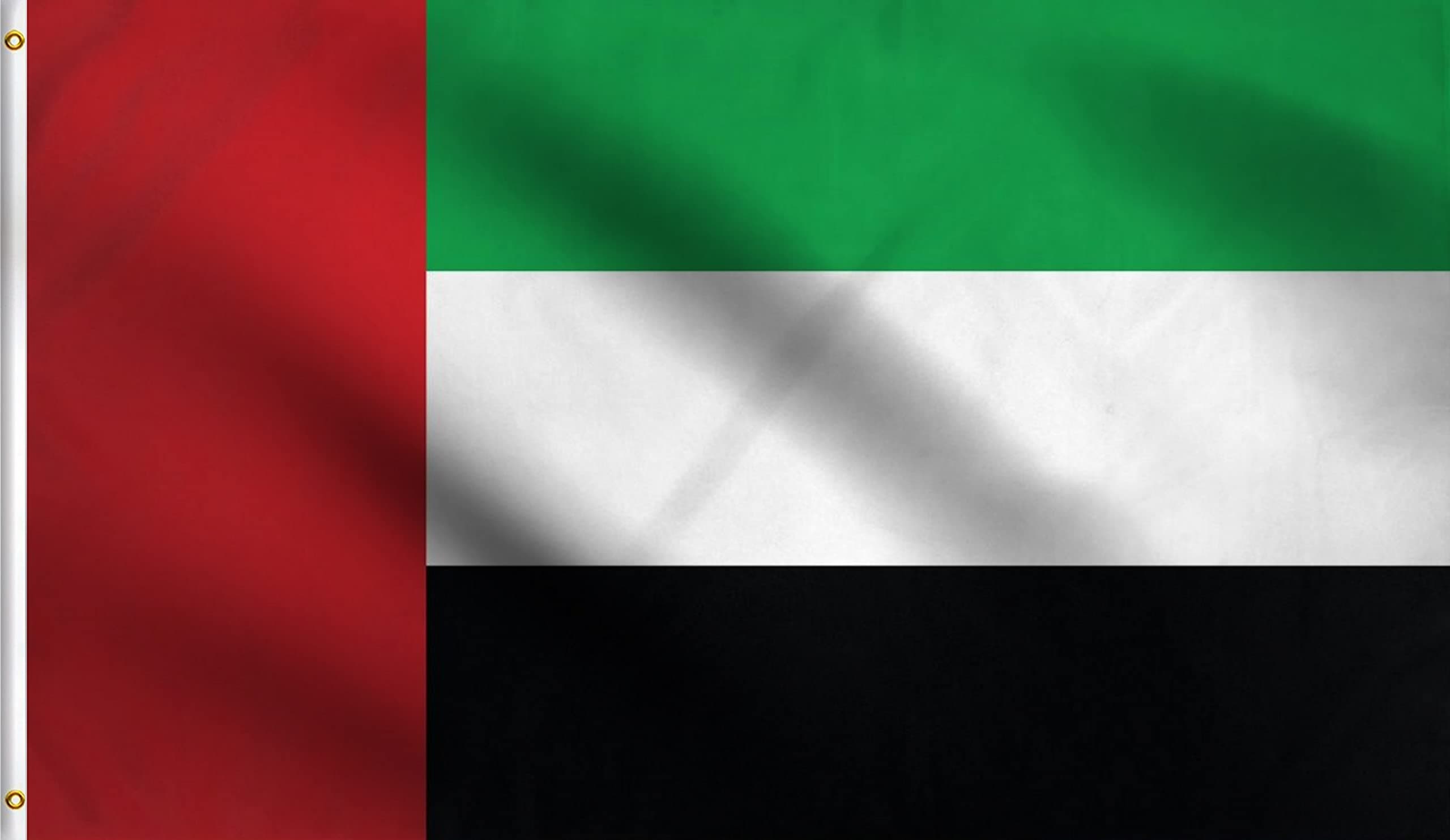 DMSE United Arab Emirates UAE National Dubai Flag 3X5 Ft Foot 100% Polyester 100D Flag UV Resistant (3' X 5' Foot)