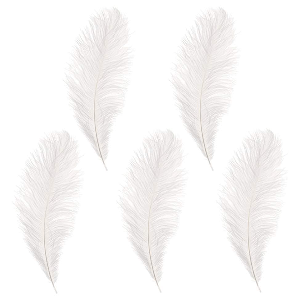 Rgontar 10-12 inches Ostrich Feather Real Natural Feather for Home Decor Party Wedding Decorations, Pack of 5(White)