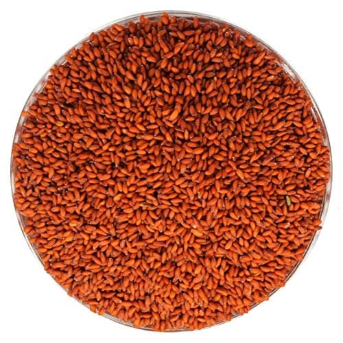 Being Marwari Garden CRESS HALIM Seed (ASALIYA) - 900g