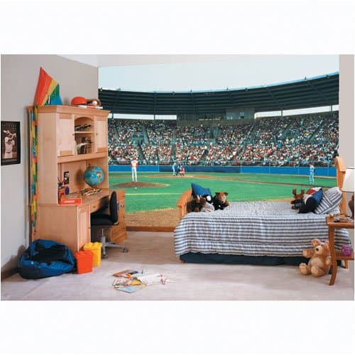 Play Ball Baseball Stadium Field Wall Mural