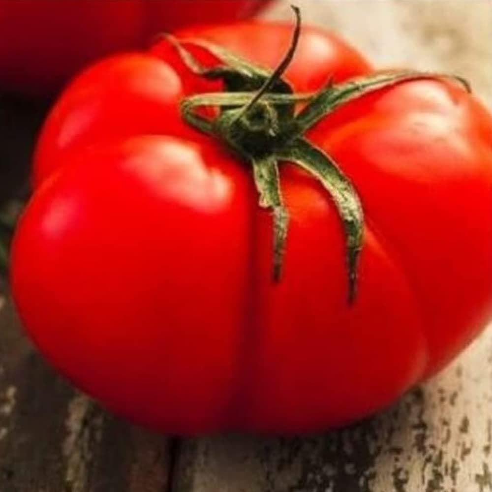 250 Beefsteak Tomato Seeds | Non-GMO | Fresh Garden Seeds