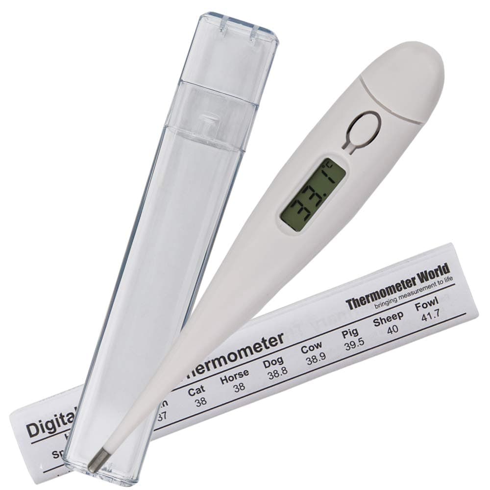 Pet Thermometer For Animal Owners of Dogs Cats Horses Vets Fixed Head Digital...