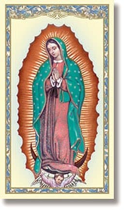 Our Lady of Guadalupe (Mystical Rose) - Powerful and Miraculous Prayer Card (10 pack)