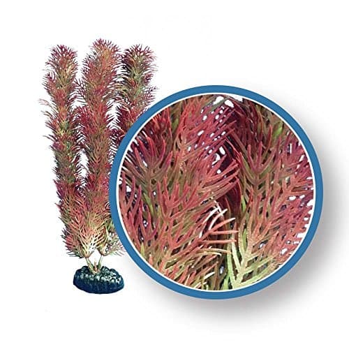 Freshwater Pro Series Cabomba Ornament, 24", Red