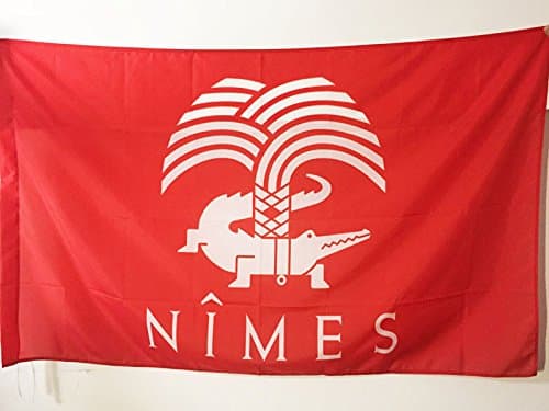 City of Nîmes Flag 3' x 5' for a pole - Nimes crocodile flags 90 x 150 cm - Banner 3x5 ft with hole - AZ FLAG