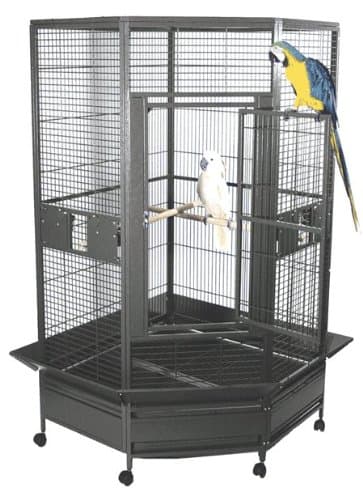 Kapoho Kave Large Corner Bird Cage - 69” X 40” X 72” - Black Silver