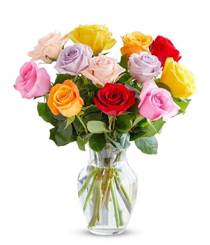 One Dozen Rainbow Roses with Glass Vase | Fresh Flower Bouquets for Birthday, Anniversary, Get Well or Celebration