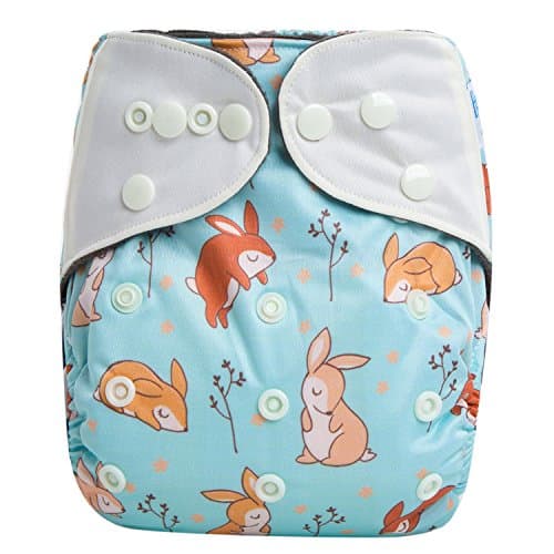HappyEndings Contoured Day or Night AI2 All in Two All in Two Cloth Diaper/Snap-in Insert Vintage Bunnies