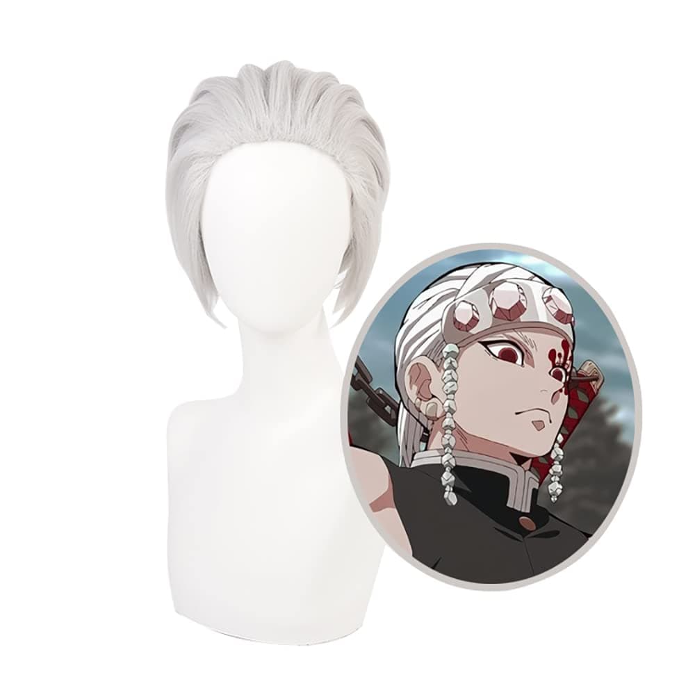 Anime Cosplay Wig Long Short Synthetic Hair for Halloween Costume Party with Free Wig Cap (Short Silver Gray)