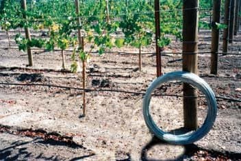 Grapevine Trellis Wire - 9 Gauge, High Carbon Steel, Silver, 170 Feet