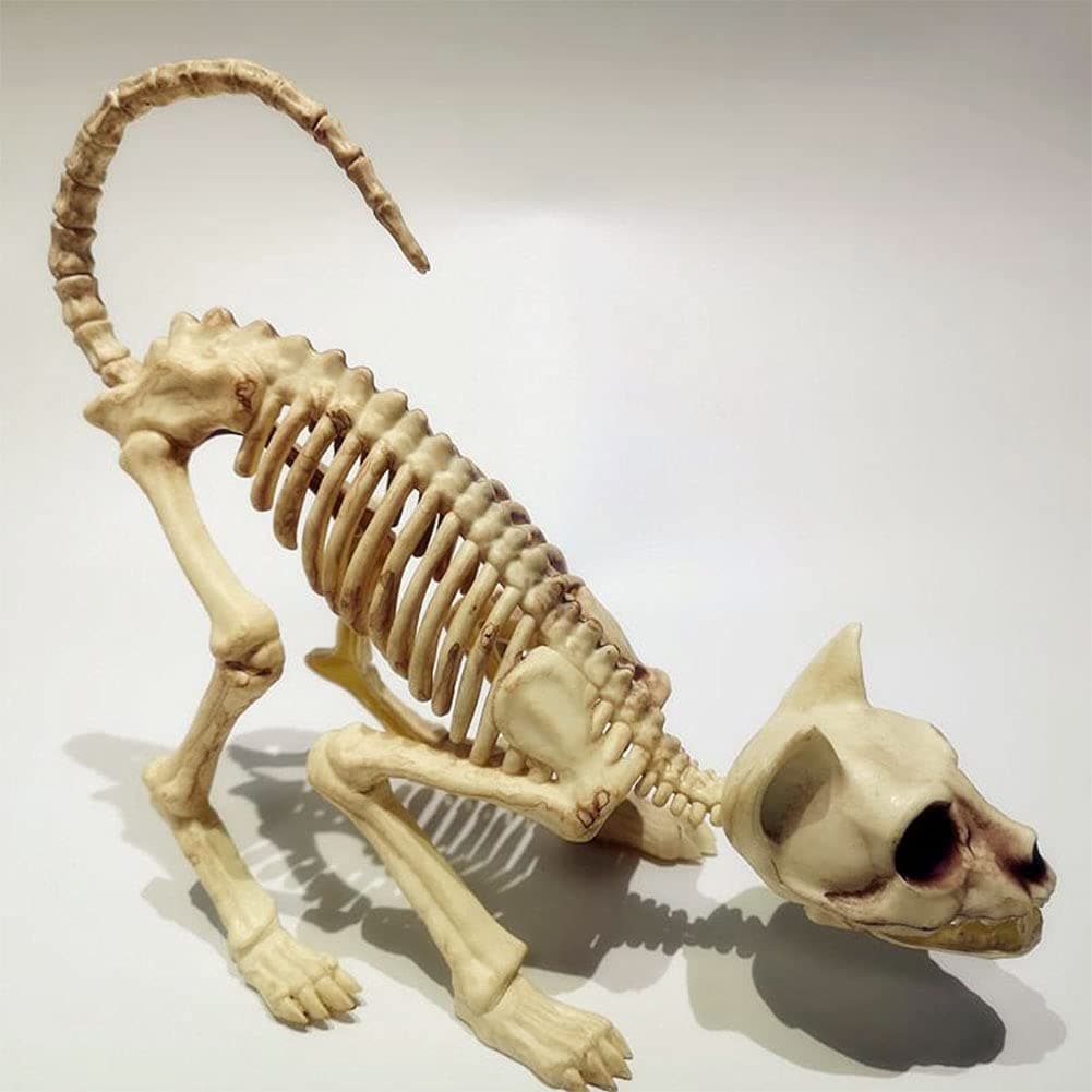 Crouching Cat Skeleton Model - Creepy Scary Animal Bones Lifelike Halloween Decoration Props and Supplies