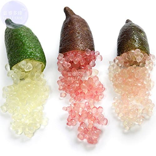 2018 Hot Sale Ochoos Mixed Finger Lime Green Red Pink Fruit Seeds, 20 Seeds, Heirloom Pomegranate a Must for Home Garden