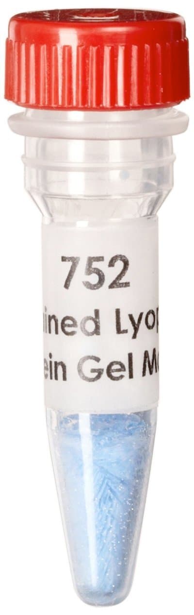 Edvotek 752 Prestained Lyophilized Protein Gel Markers Molecular Weight Standards, For 6 Gels
