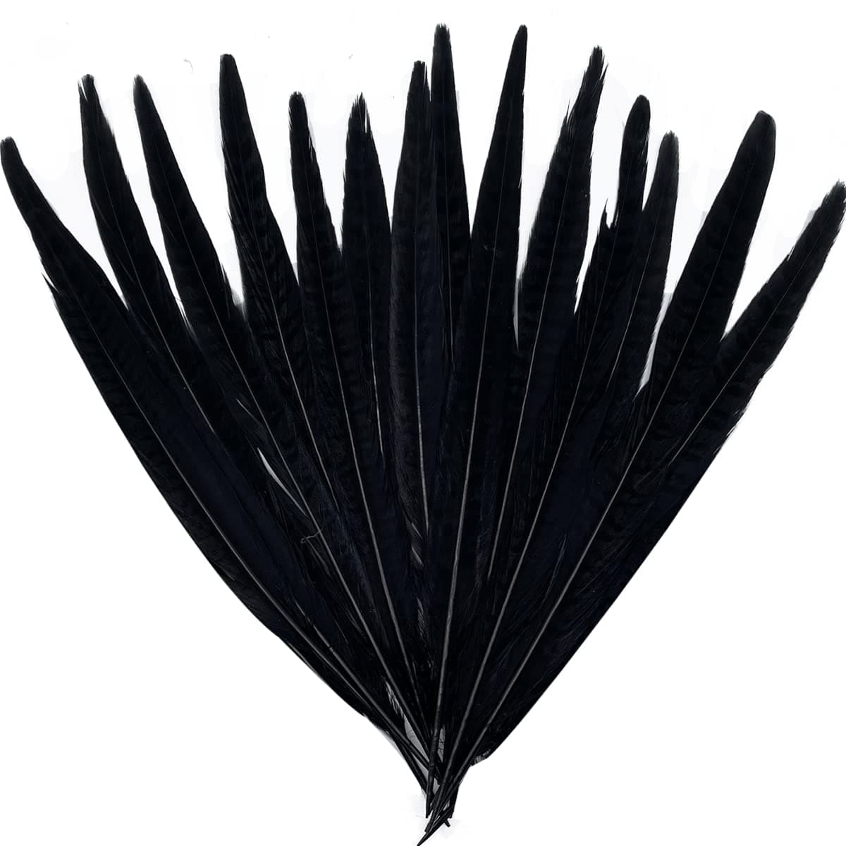 20pcs Natural Pheasant Feathers for Crafts Pheasant Tails DIY Wedding Party Decorations Accessories 9.84-11.8inch CDY-SJW-25-30CM-20PCS