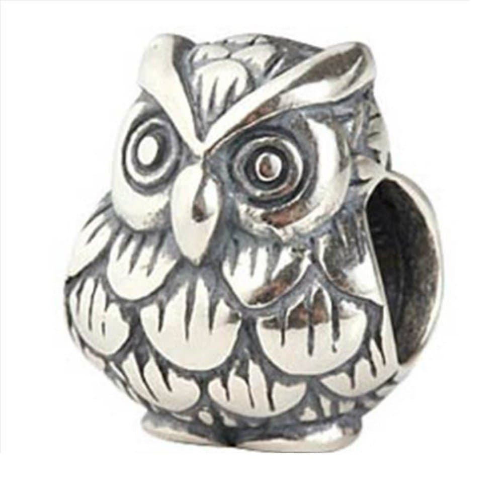 HooChams Animal Charm Owl Harry Potter Fan 925 Sterling Silver Bead Fits Pandora Charms