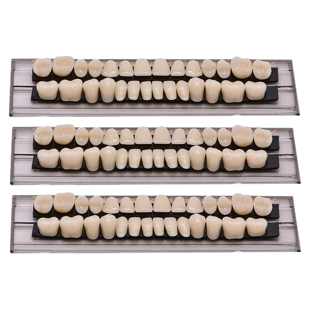 84 PCS Acrylic Resin Teeth Dental Denture Dental Synthetic Resin Teeth Denture Halloween Horror Prop 23 A2 ((28 Pcs/3 Set))