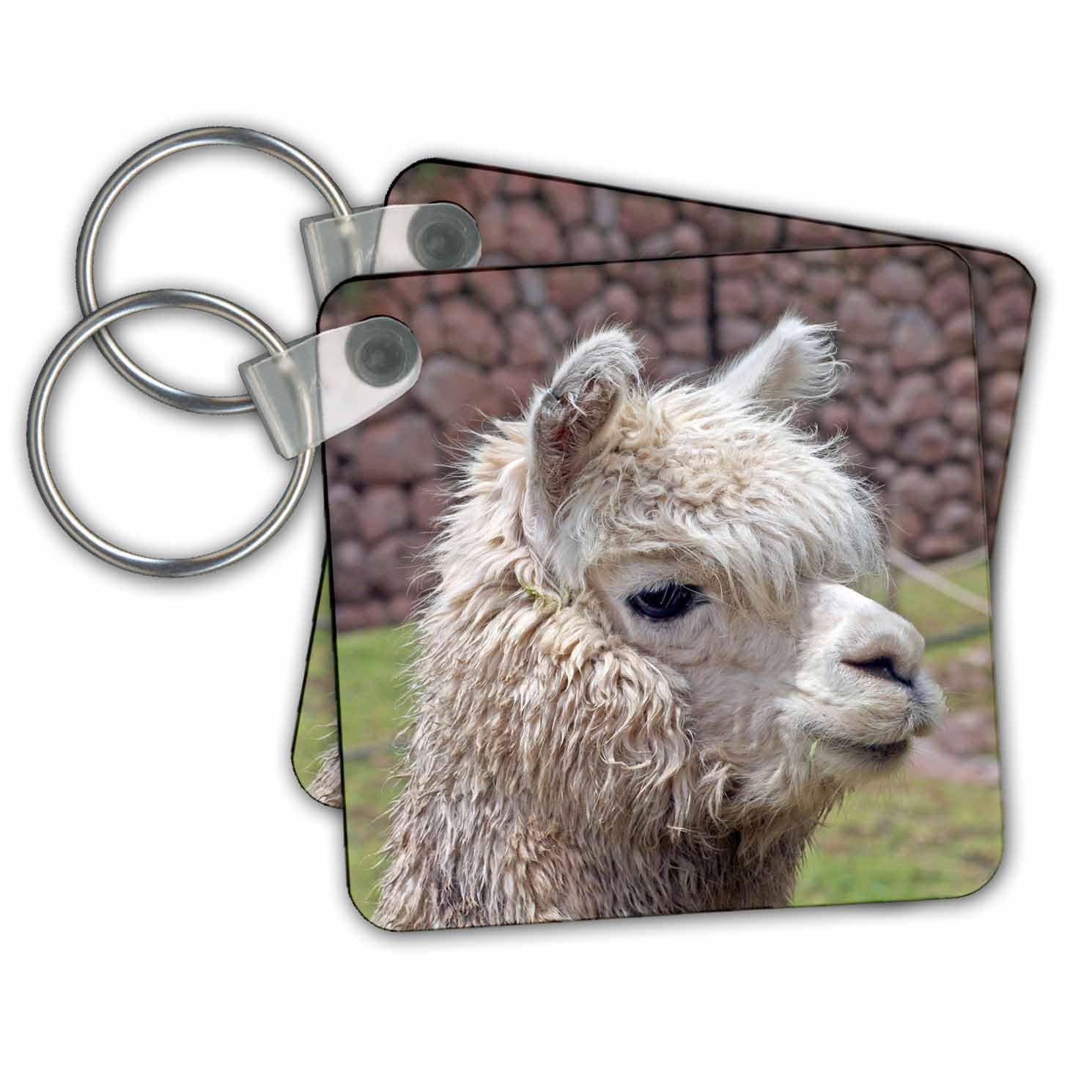 3dRose Key Chains Peru. Alpaca wildlife, Awana Kancha, Urubamba Valley - SA17 KWI0128 - Kymri Wilt (kc-87050-1)