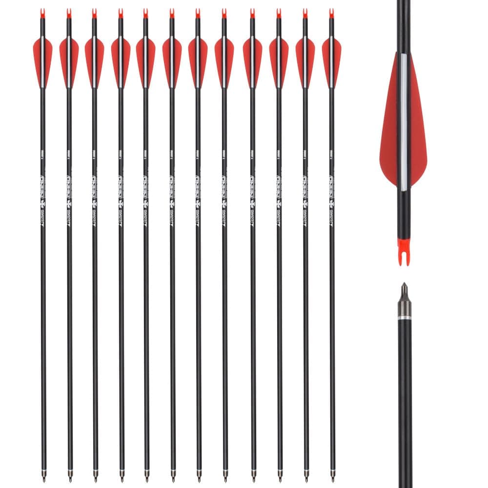 Carbon Arrow Hunting Arrows Spine 500 with 100 Grain Removable Tips for Archery Compound Bow Recurve Bow Practice Shooting (Pack of 12)