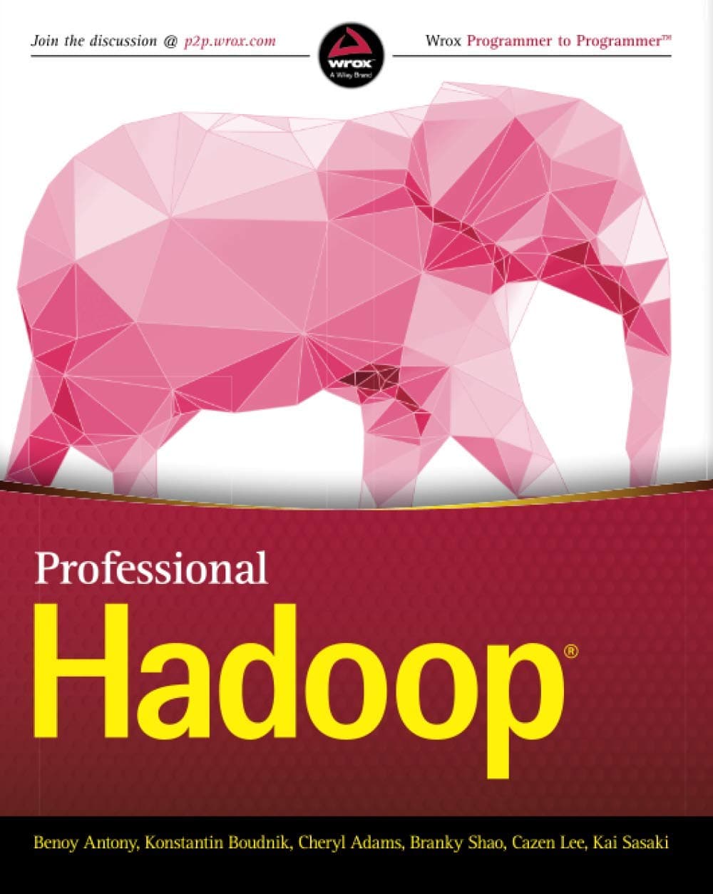 Professional Hadoop