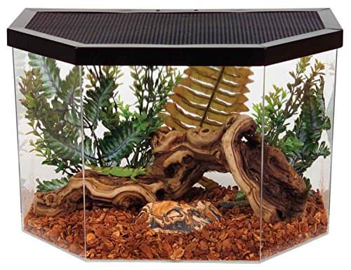 MARDOG Repitat Flat-Backed Reptile Habitat, 5-Gallon