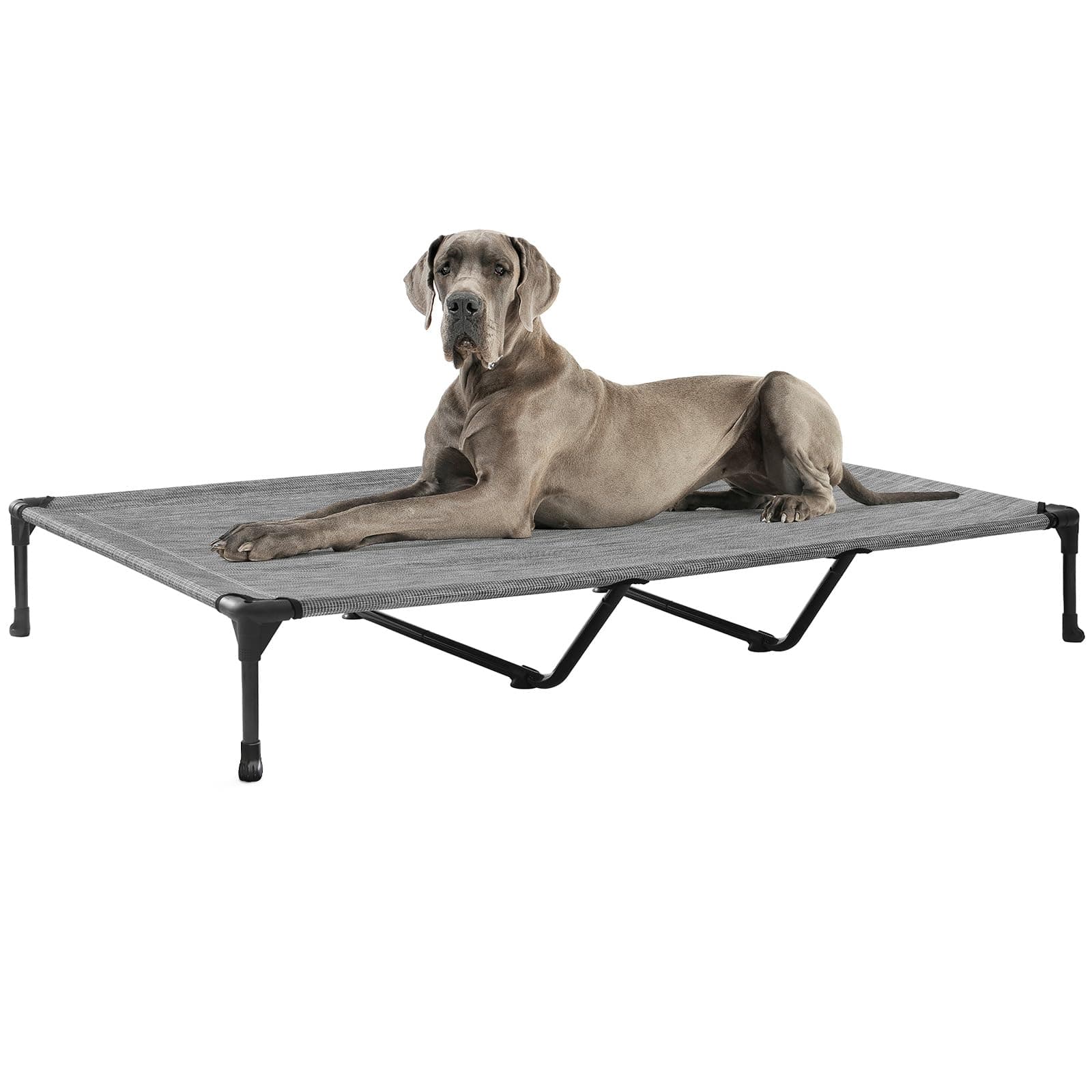 Veehoo Outdoor Elevated Dog Bed Large Sized Dogs, XXL Cooling Raised Dog Cots Beds Training Platform Off Ground Hammock with Breathable Mesh, No-Slip Feet, 59"x37.5", Black Silver