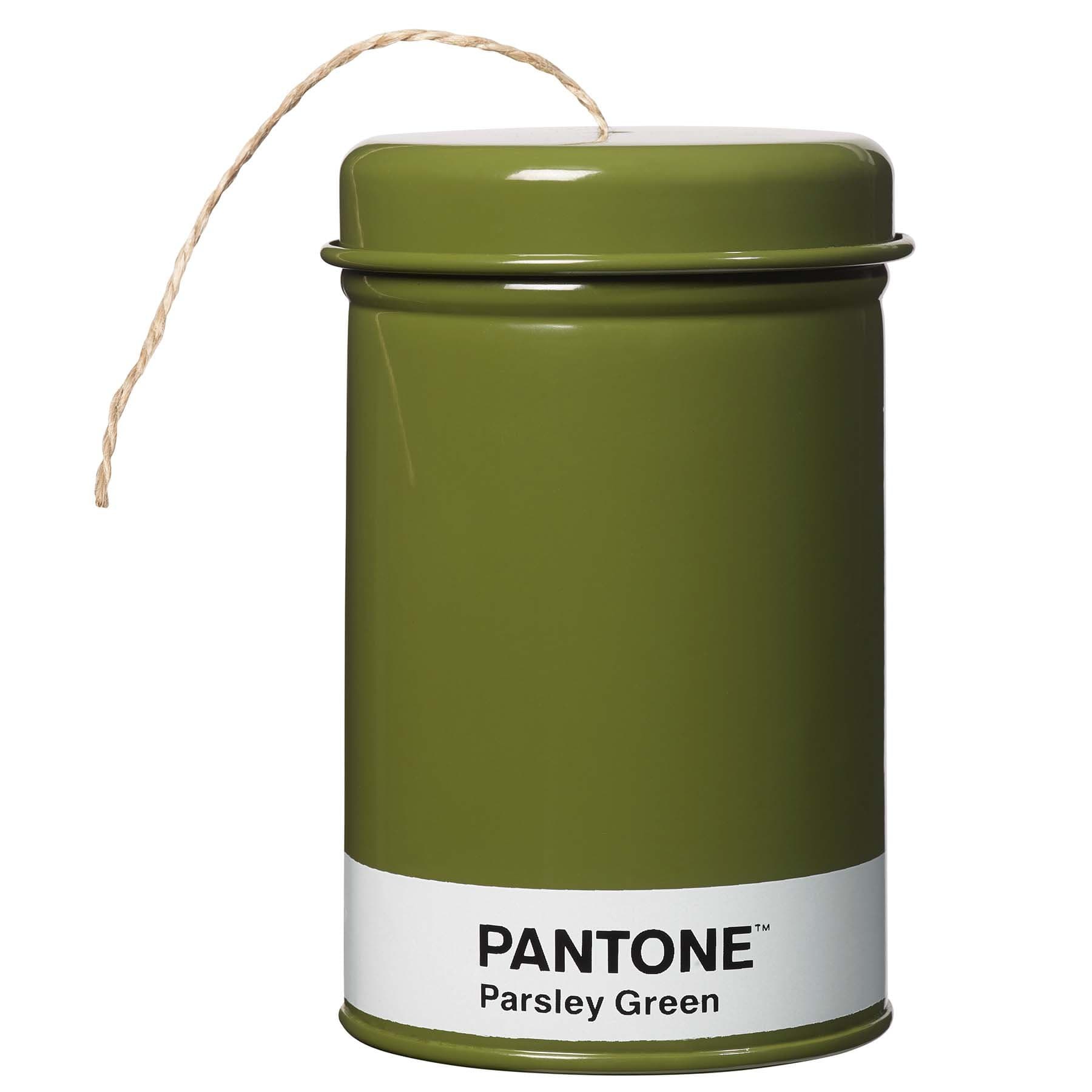 Briers Pantone String in a Tin, Parsley Green
