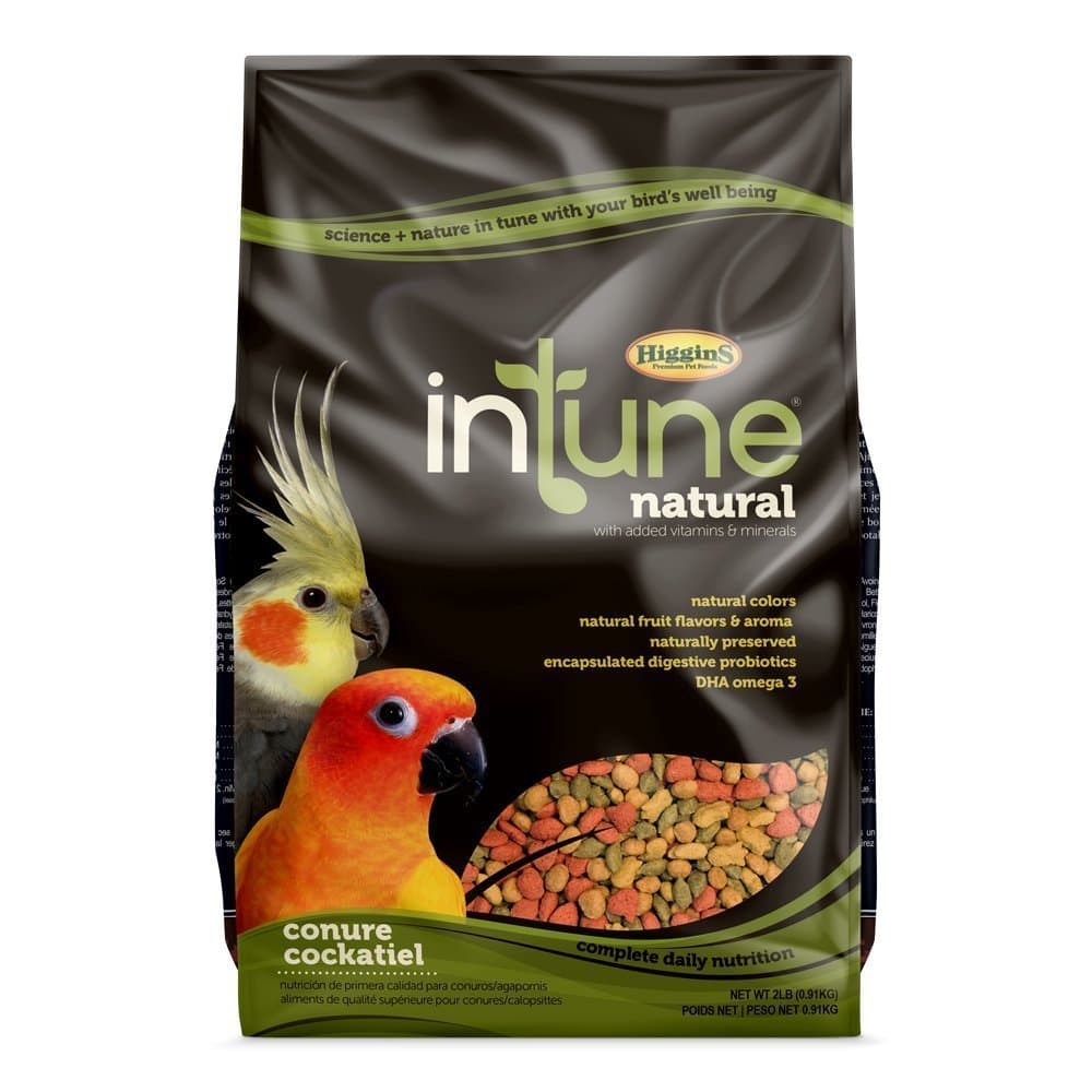 Intune Conure & Cockatiel Dry Food - 2LBS