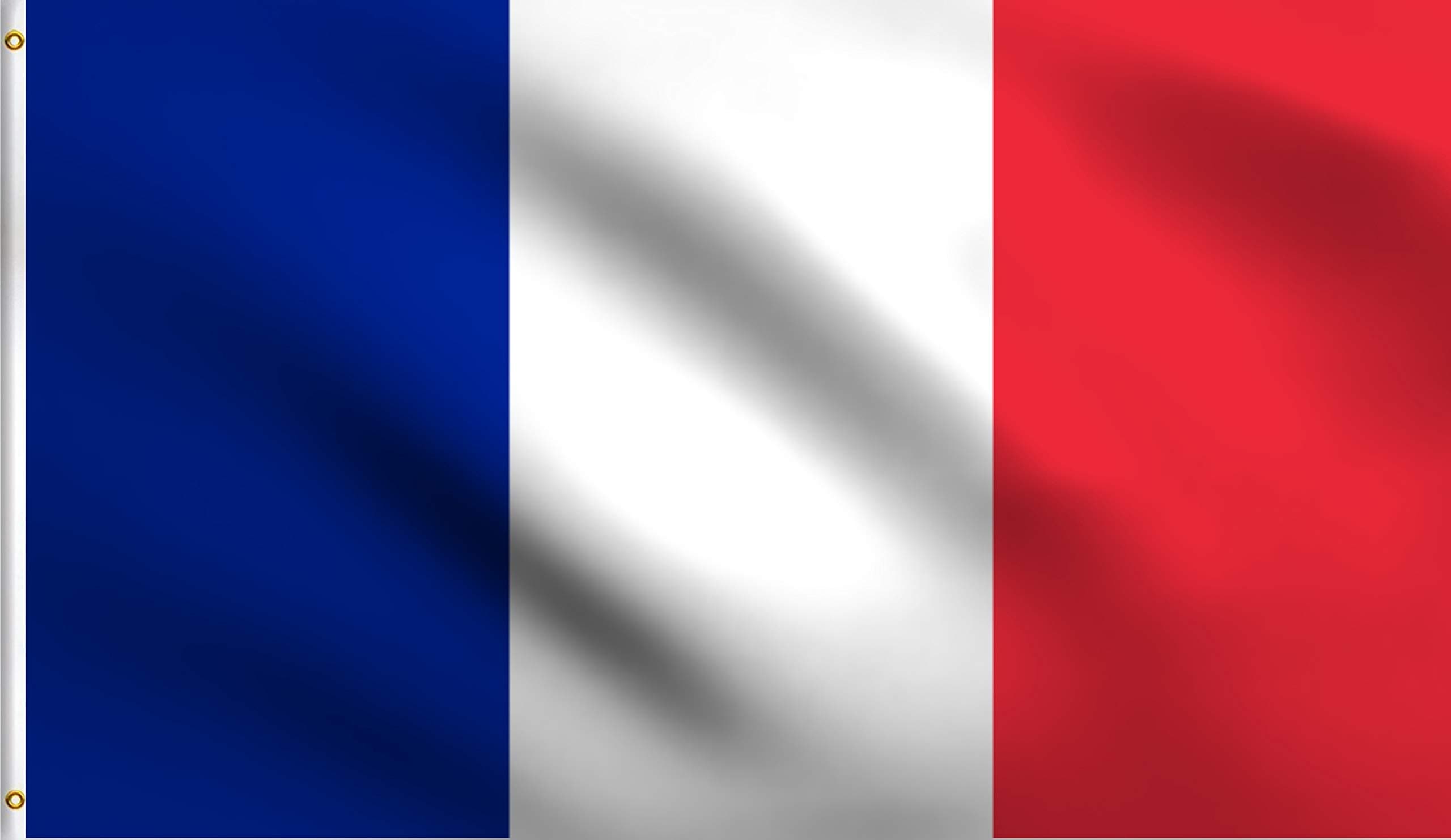 DMSE Wholesale France French National Flag 2X3 Ft Foot 100% Polyester 100D Flag UV Resistant (2' X 3' Ft Foot)