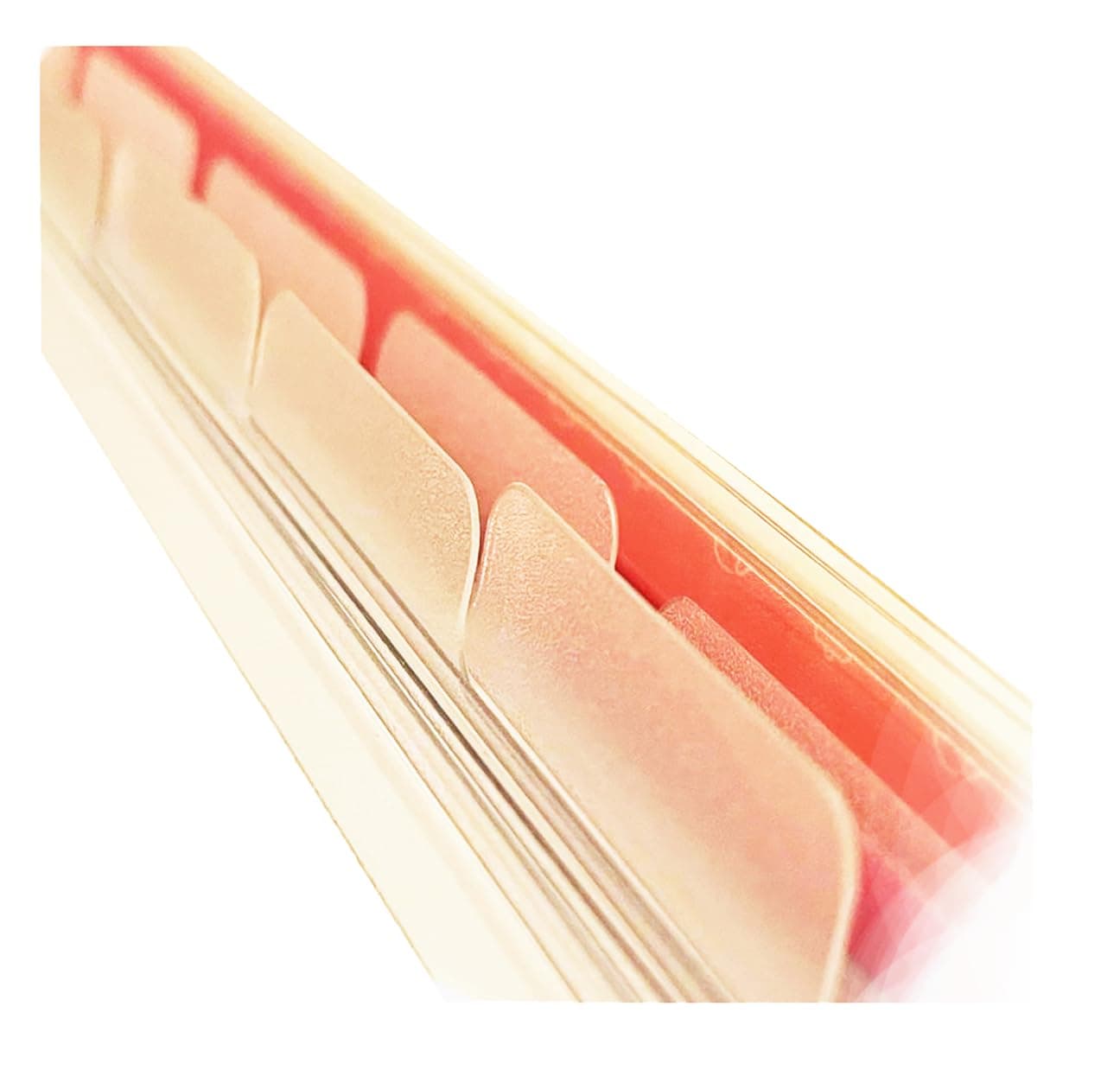 4 Clear Blank Top Dividers for Half Letter Size Discbound Planners Semi-Transparent Dashboard Junior (8-Disc Half Letter (5.5 x 8.5 in)) FeroniArt Planner Inserts Compatible with Happy Planner ARC and TUL