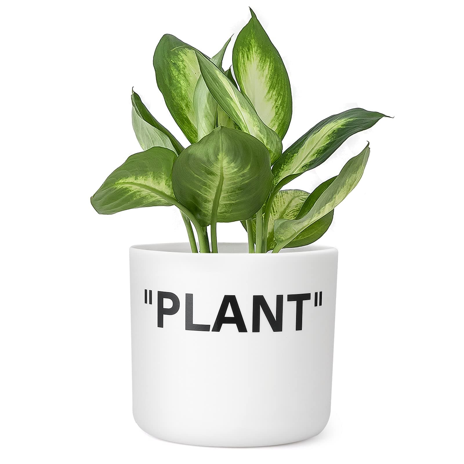 TwoDays オフホワイトにインスパイアされたスニーカープランター Hypebeastルームデコレーション、小さな5インチシリンダーホワイトプラスチック屋内植木鉢、排水穴内蔵、ミニ植木鉢、スニーカーヘッドギフト。