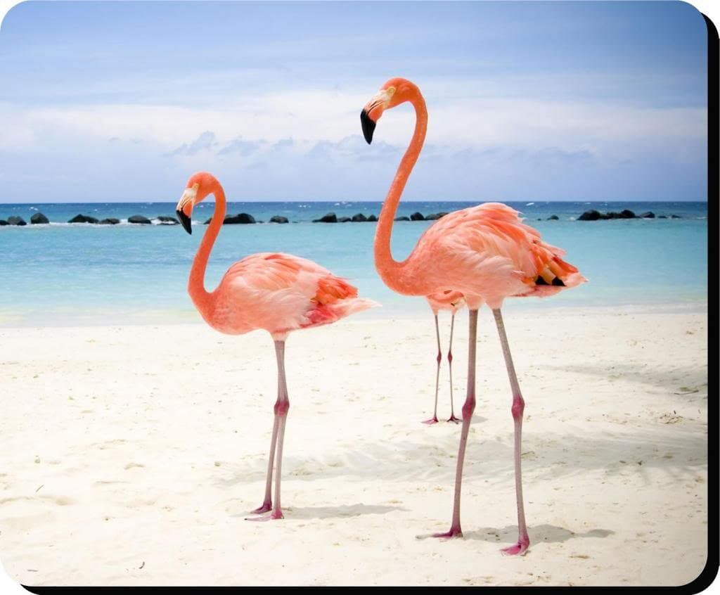 The Lazy Cow Flamingo BIRD MOUSE MAT 22