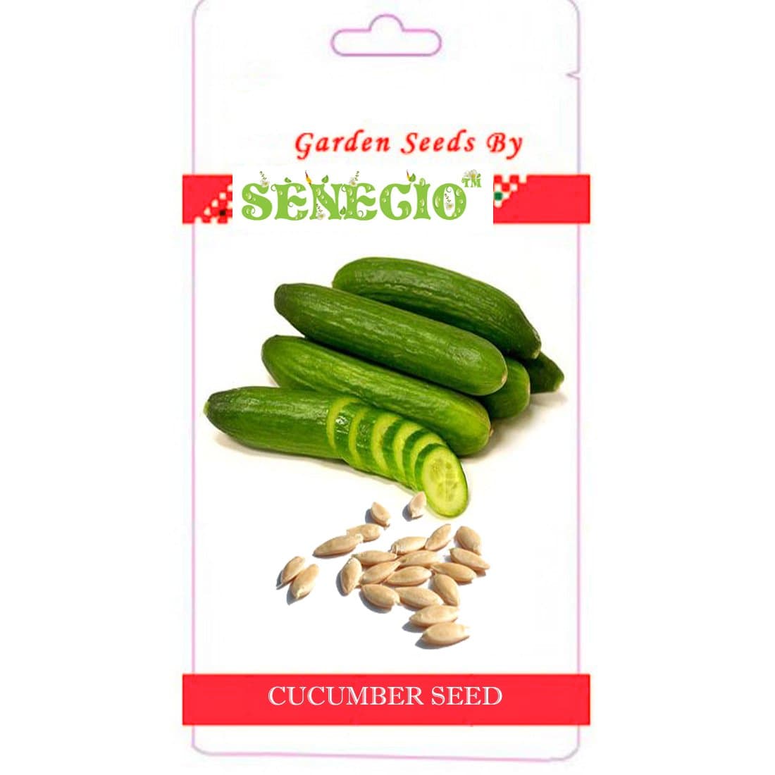 SENECIO� Cucumber Kitchen Terrace Gardening Pack Of 20 Seed By GalexiaR