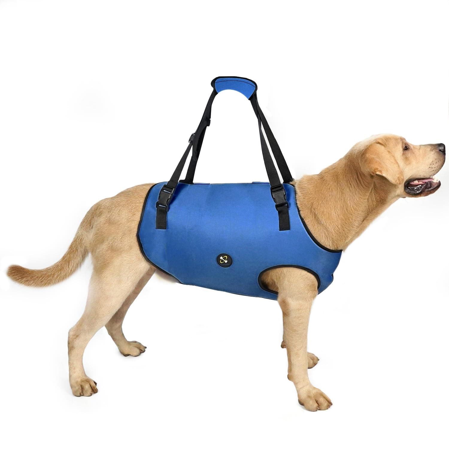 Dog Lift Harness, Pet Support & Rehabilitation Sling Lift Adjustable Padded Breathable Straps for Old, Disabled, Joint Injuries, Arthritis, Loss of Stability Dogs Walk (Blue, XS)
