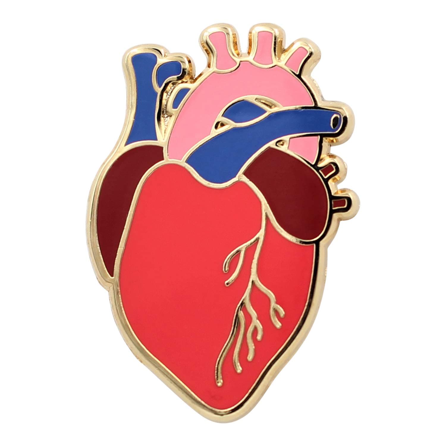REAL SIC Anatomical Heart Pin - Realistic, Scientific Heart Enamel Pin - Lapel Pin for Valentine's Day, Medical Pinning Ceremony on Backpacks, Hats, Bags, Jackets & Tops