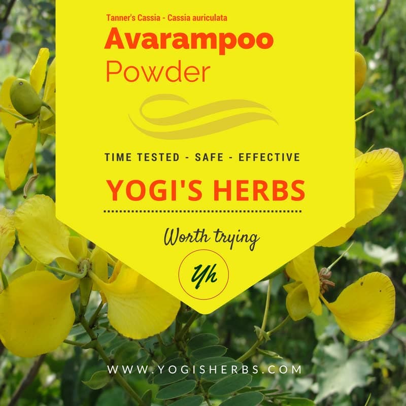 YOGIS HERBS Premium Avarampoo Powder (Senna Auriculata) 1 lb Fresh & Pure | Tanner’s Cassia | Supports Healthy Metabolism | Natural Skin & Health Support | 1 Pound (Pack of 1)