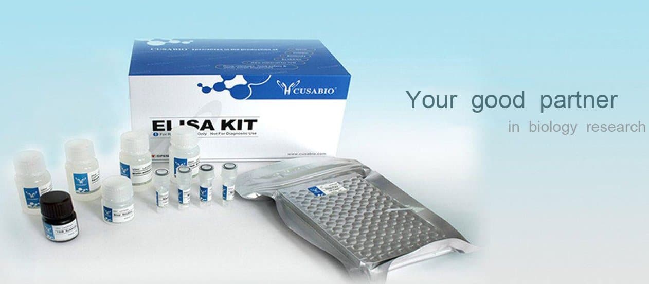 Human Herpes simplex virus 2,HSV-Ag2 ELISA Kit, 96T