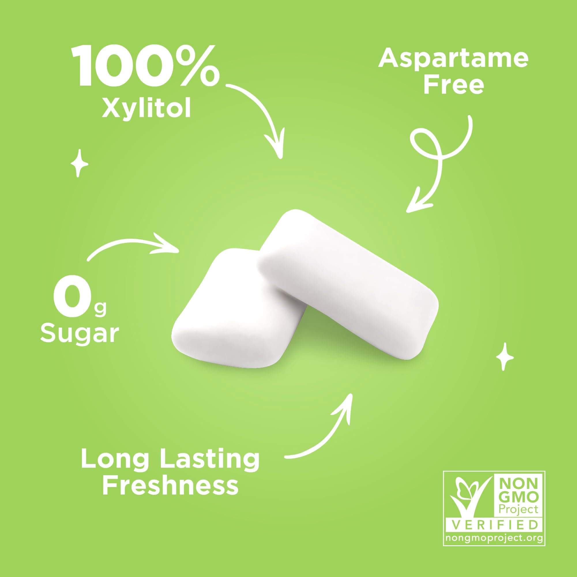 PUR Gum | Sugar Free Chewing Gum | 100% Xylitol | Vegan, Aspartame Free, Gluten Free & Diabetic Friendly | Natural Coolmint Flavored Gum, 9 Pieces (Pack of 12)