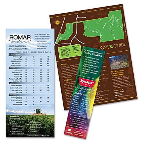 Nekoosa Synaps Digital XM Synthetic Paper